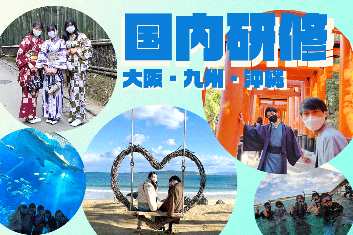 国内研修