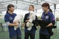 キャンパスライフ