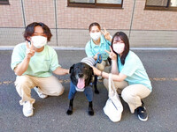 しろサポートチームの紹介（介護福祉学科）