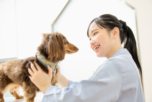 全国の動物病院とつくった動物病院に特化した専門学校です。