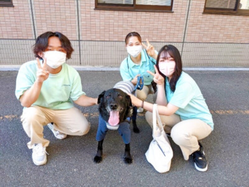 しろサポートチームの紹介（介護福祉学科）