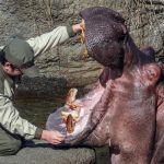 動物園スタッフになるには