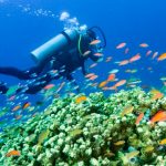 水族館スタッフになるには